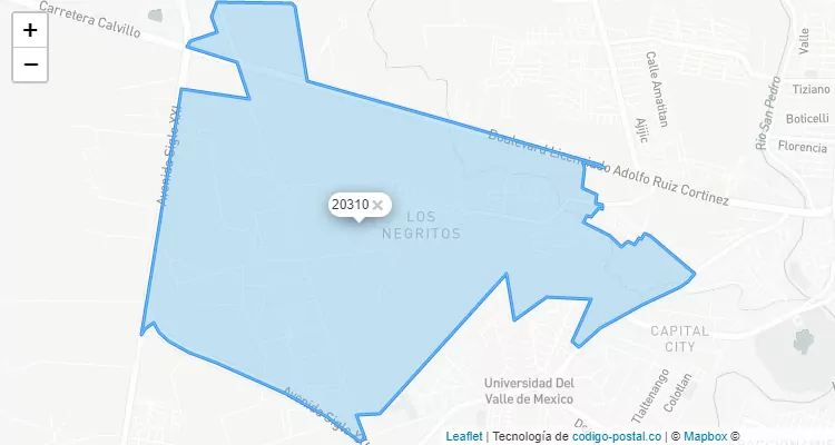 20310 ZIP Code - México