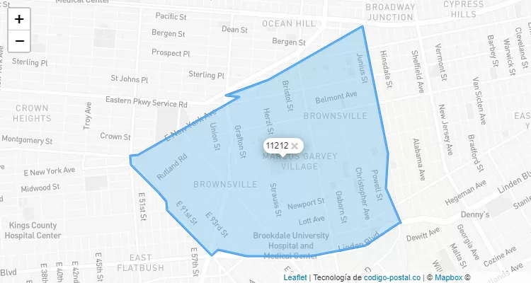 11212 ZIP Code United States